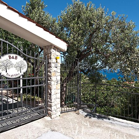 Bed and Breakfast Tra Gli Ulivi Пьетра-Лигуре Экстерьер фото