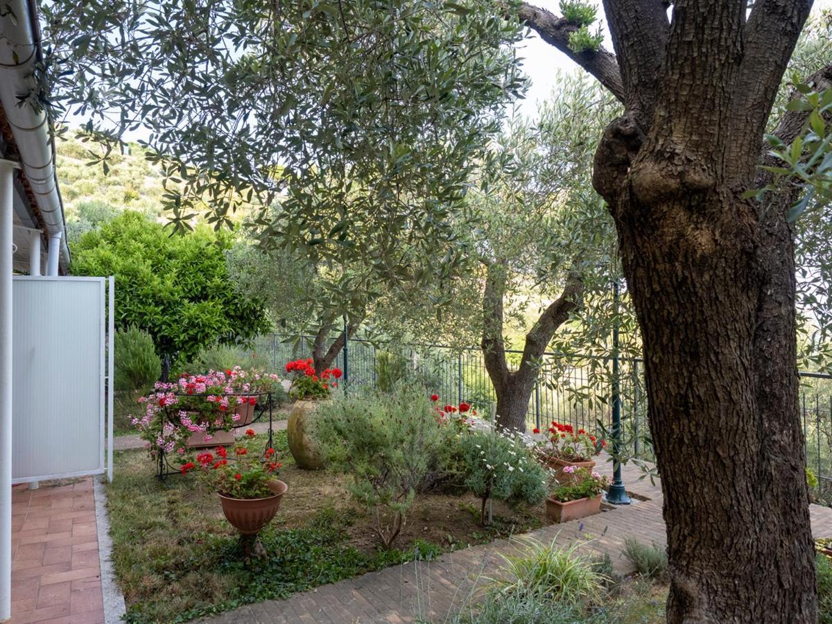 Bed and Breakfast Tra Gli Ulivi Пьетра-Лигуре Экстерьер фото