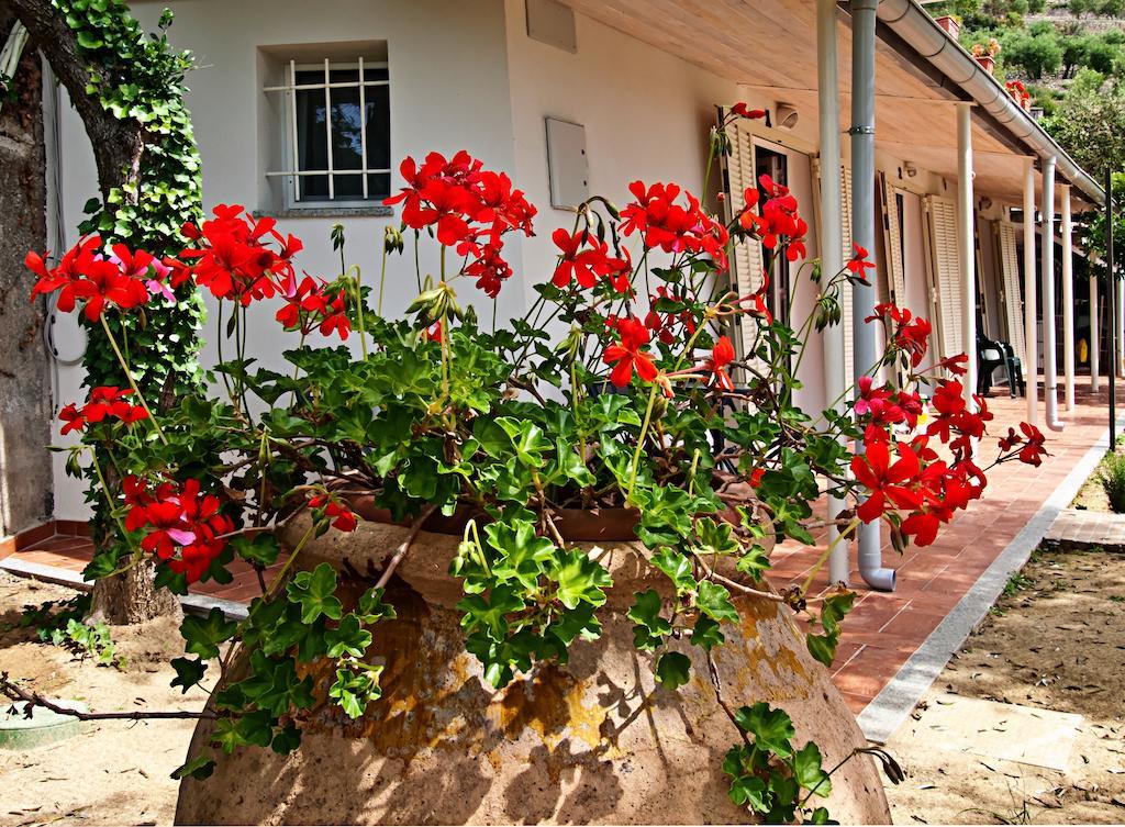 Bed and Breakfast Tra Gli Ulivi Пьетра-Лигуре Экстерьер фото