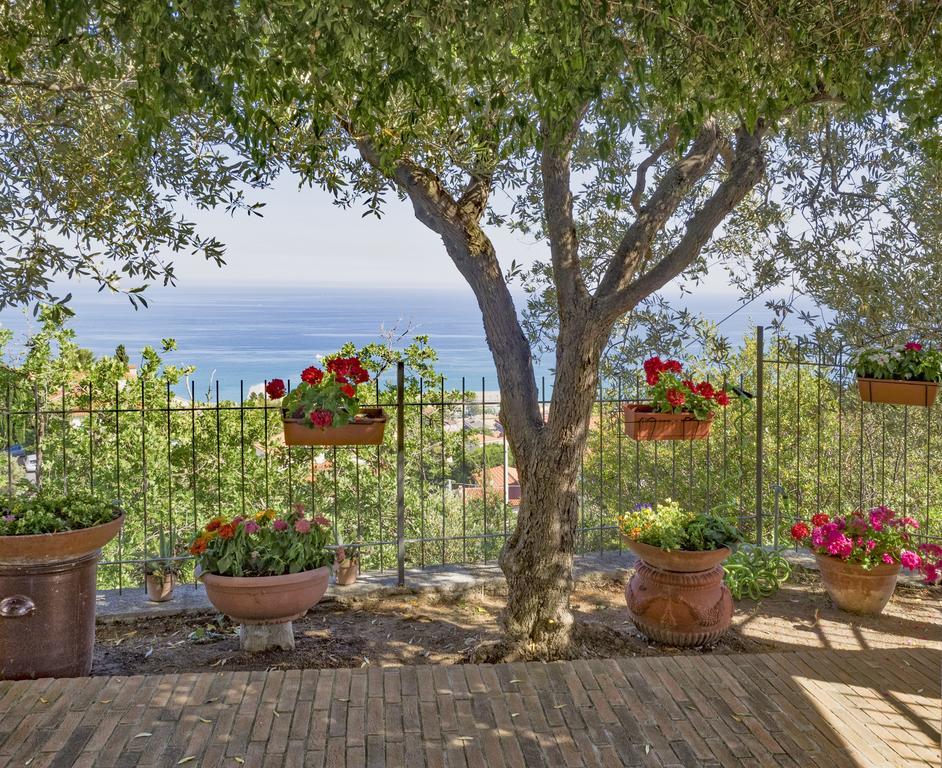 Bed and Breakfast Tra Gli Ulivi Пьетра-Лигуре Экстерьер фото